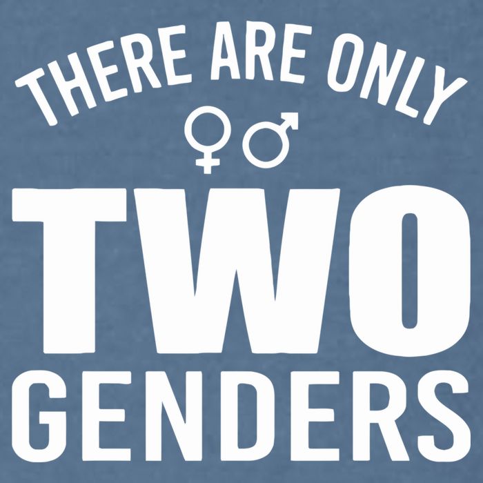 There Are Only Two Genders Gender Garment-Dyed Sweatshirt