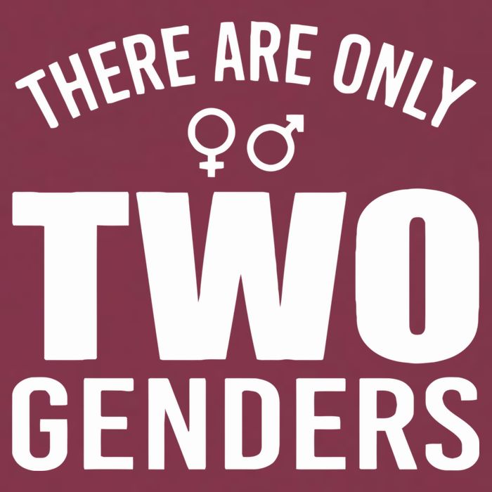 There Are Only Two Genders Gender 16oz Travel Tumbler