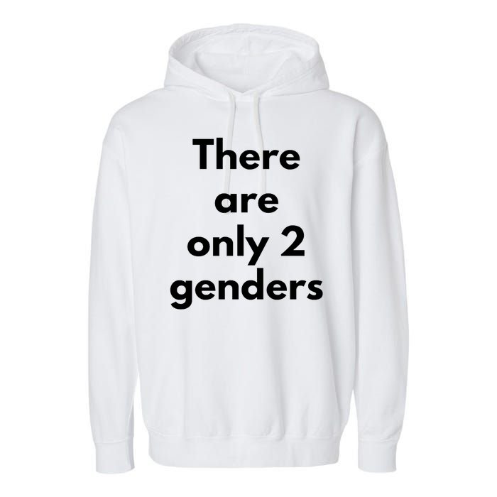 There Are Only 2 Genders Garment-Dyed Fleece Hoodie