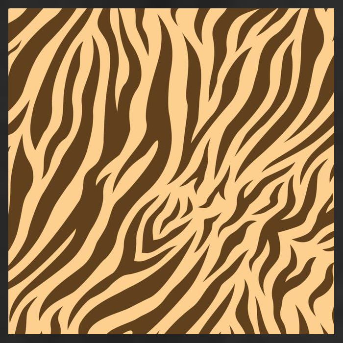 Tiger Animal Print Beanie