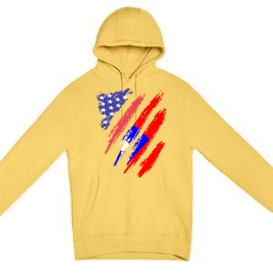 Taiwanese American Patriot Grown Heart Flag Stripes Gift Premium Pullover Hoodie