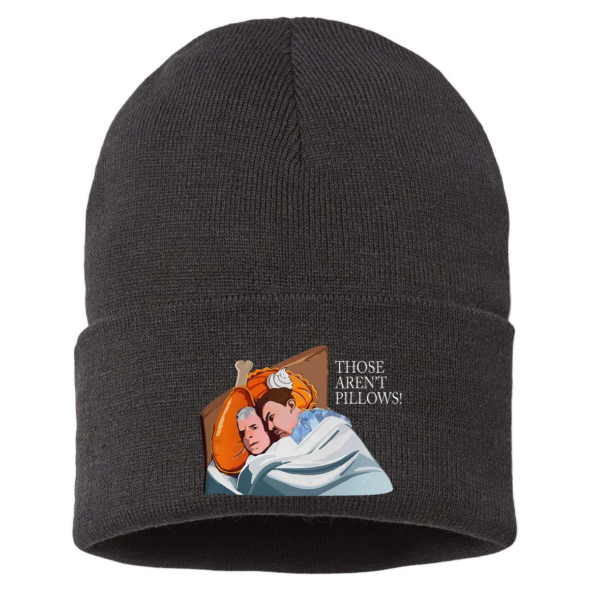 Those ArenT Pillows Funny Thanksgiving Meme Turkey Pie Sustainable Knit Beanie