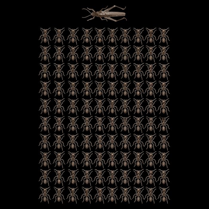 The Ants Pick The Food The Ants Keep The Food Wool Snapback Cap