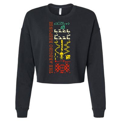 The Arecibo Response Chilbolton Crop Circle Alien Reply Cropped Pullover Crew