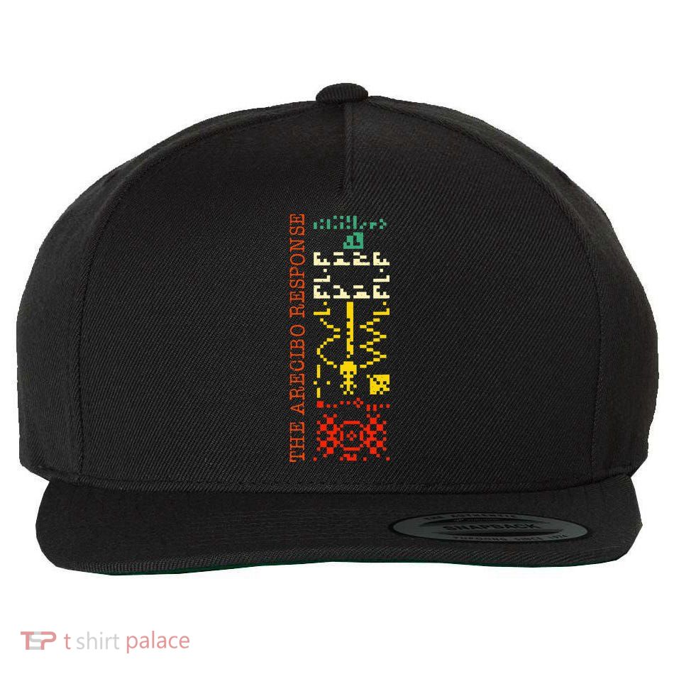 The Arecibo Response Chilbolton Crop Circle Alien Reply Wool Snapback Cap