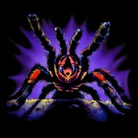 Tarantula Short Acrylic Beanie