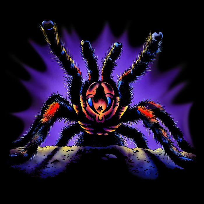 Tarantula Short Acrylic Beanie