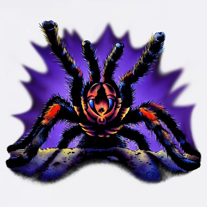 Tarantula Garment-Dyed Sweatshirt