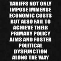 Tariffs Foster Political Dysfunction Ladies PosiCharge Tri-Blend Wicking Tank