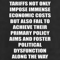 Tariffs Foster Political Dysfunction Garment-Dyed Fleece Hoodie