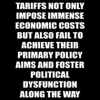 Tariffs Foster Political Dysfunction Backpack