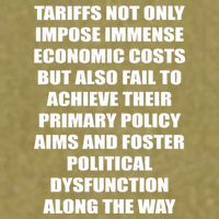 Tariffs Foster Political Dysfunction Garment-Dyed Women's Muscle Tee