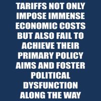Tariffs Foster Political Dysfunction Garment-Dyed Heavyweight T-Shirt