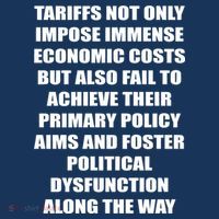 Tariffs Foster Political Dysfunction Kids T-Shirt