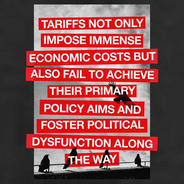 Tariffs Foster Political Dysfunction Trump  7 Panel Mesh Trucker Snapback Hat