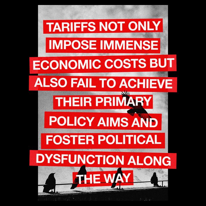 Tariffs Foster Political Dysfunction Trump  16 in Basic Backpack