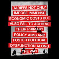 Tariffs Foster Political Dysfunction Trump  Wool Snapback Cap