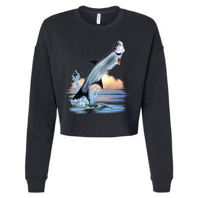 Tarpon Leap Cropped Pullover Crew