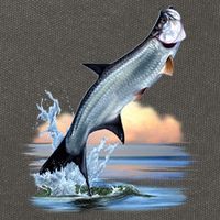 Tarpon Leap Cotton Canvas Backpack
