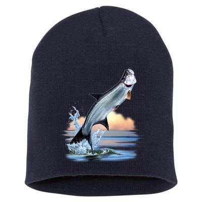 Tarpon Leap Short Acrylic Beanie
