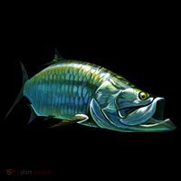 Tarpon Swimming Button