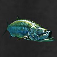 Tarpon Swimming 11oz C Handle Ceramic Mug