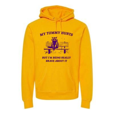 Tummy Ache Survivor Retro 90s Premium Hoodie