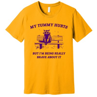 Tummy Ache Survivor Retro 90s Premium T-Shirt