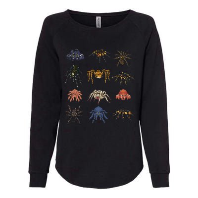 Tarantula Arthropod Spooky Halloween Gift Arachnid Spider Womens California Wash Sweatshirt