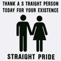 Thank A Straight Person Today For Your Existence Straight Pride Performance Shirt