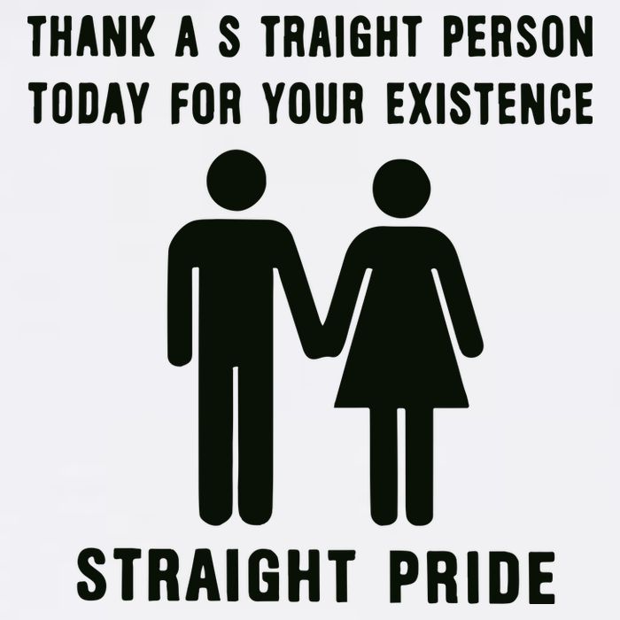 Thank A Straight Person Today For Your Existence Straight Pride Performance Shirt