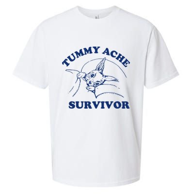Tummy Ache Survivor Sueded Cloud Jersey T-Shirt