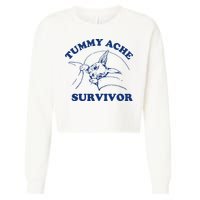 Tummy Ache Survivor Cropped Pullover Crew