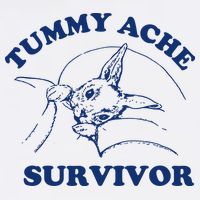 Tummy Ache Survivor Cropped Pullover Crew