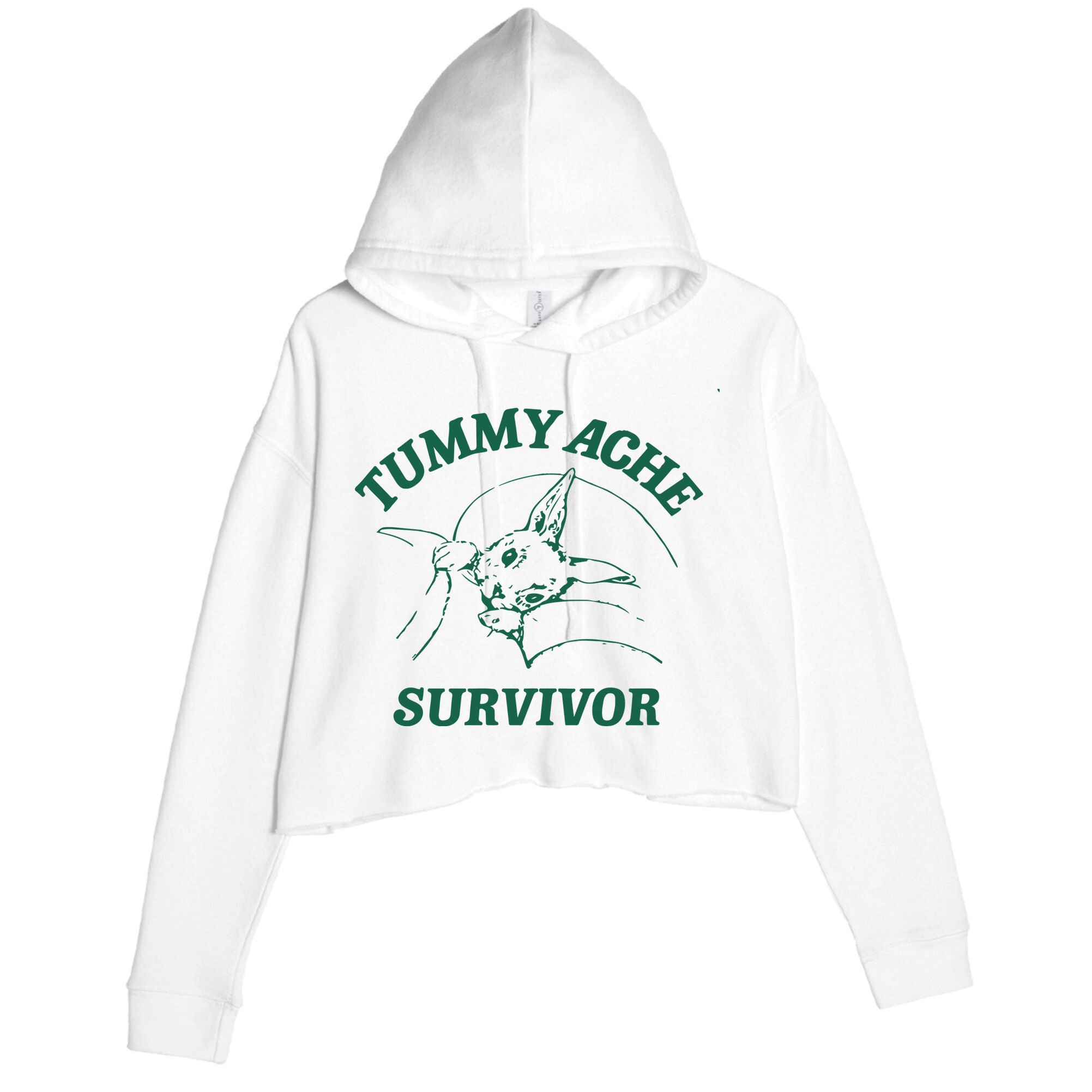 Tummy Ache Survivor Tummy Ache Crop Fleece Hoodie