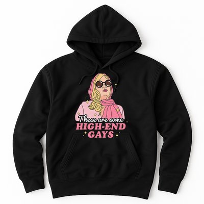 These Are Some High End Gays LGBT Hoodie