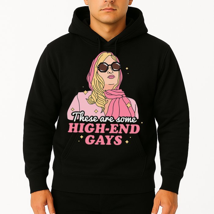 These Are Some High End Gays LGBT Hoodie