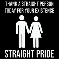 Thank A Straight Person To Day For Your Existence Straight Pride Cooling Performance Crew T-Shirt