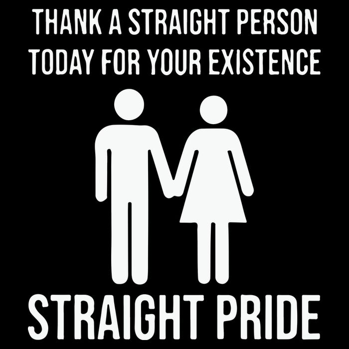 Thank A Straight Person To Day For Your Existence Straight Pride Cooling Performance Crew T-Shirt