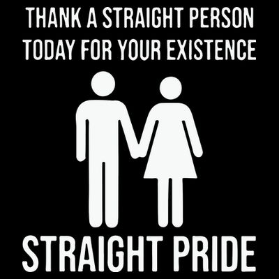 Thank A Straight Person To Day For Your Existence Straight Pride T-Shirt