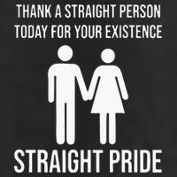 Thank A Straight Person To Day For Your Existence Straight Pride Adult Drive Performance Visor