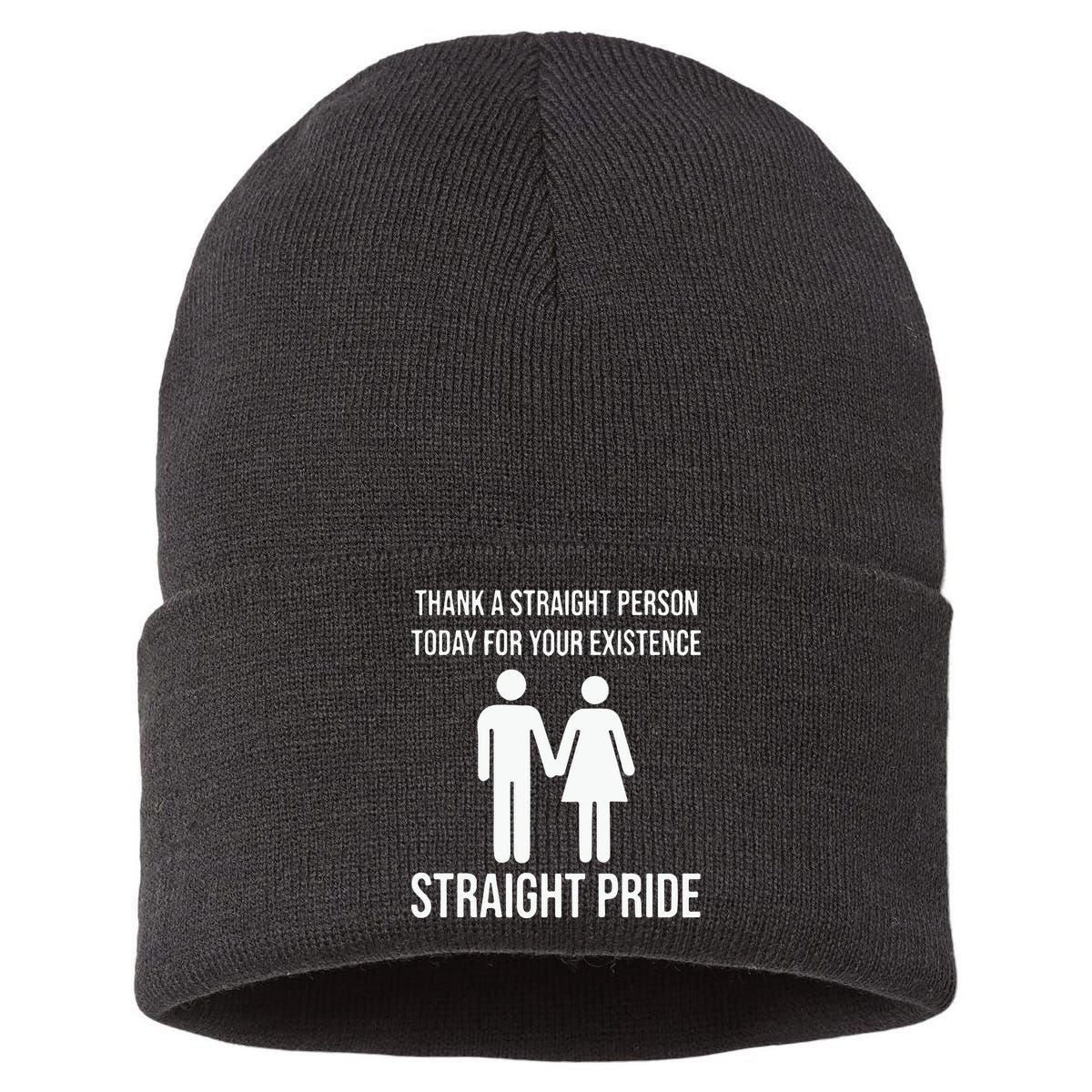 Thank A Straight Person To Day For Your Existence Straight Pride Sustainable Knit Beanie