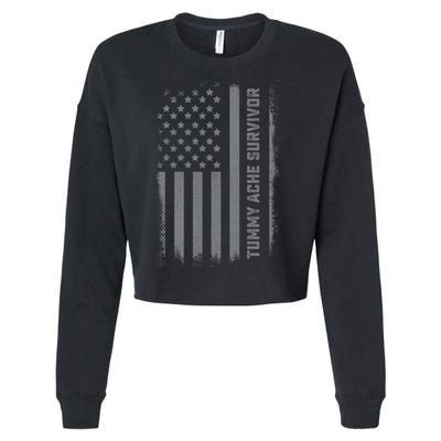 Tummy Ache Survivor IBS Stomach Ache US Flag Cropped Pullover Crew