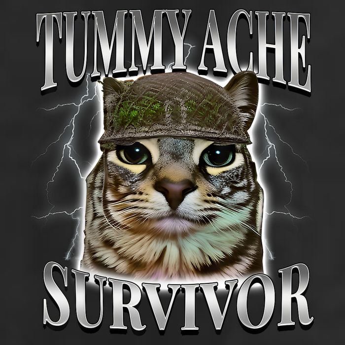 Tummy Ache Survivor Cat Meme Funny Saying Cats Animals  Cool Comfort Performance Bucket Hat