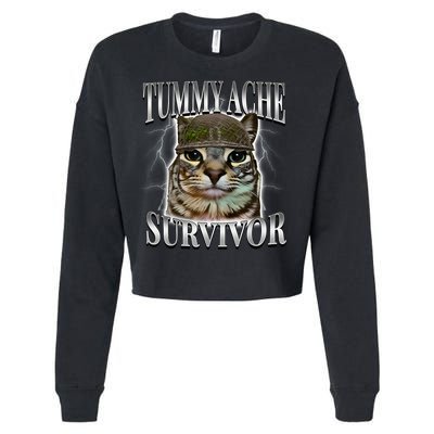Tummy Ache Survivor Cat Meme Funny Saying Cats Animals  Cropped Pullover Crew