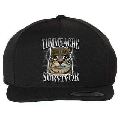 Tummy Ache Survivor Cat Meme Funny Saying Cats Animals  Wool Snapback Cap