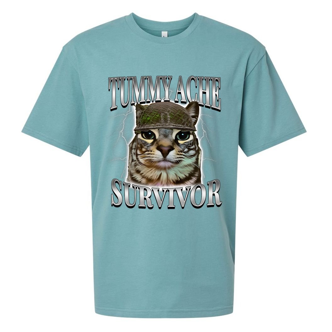 Tummy Ache Survivor Cat Meme Funny Saying Cats Animals  Sueded Cloud Jersey T-Shirt