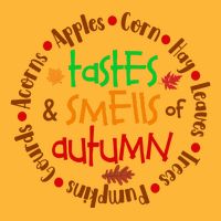 Tastes And Smells Of Autumn Pom Pom 12in Knit Beanie