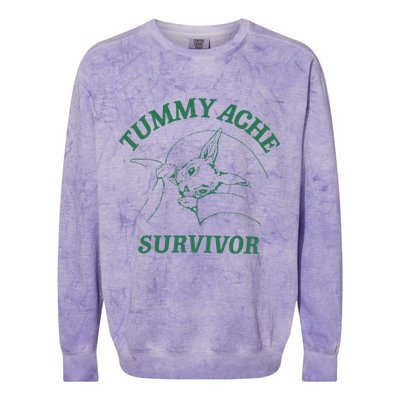 Tummy Ache Survivor Funny Rabbit Meme Bunny Lover Colorblast Crewneck Sweatshirt