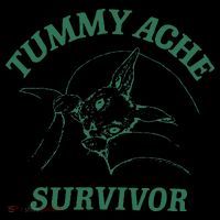 Tummy Ache Survivor Funny Rabbit Meme Bunny Lover Stripe Pom Pom Beanie